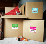 MOVING LABELS (SMALL)