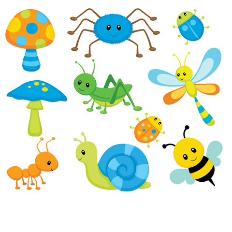 INSECTS - BLUE